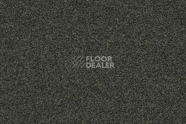 Ковровая плитка Interface Polichrome Stipple 4265008 Peat фото 1 | FLOORDEALER